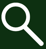 Search Icon